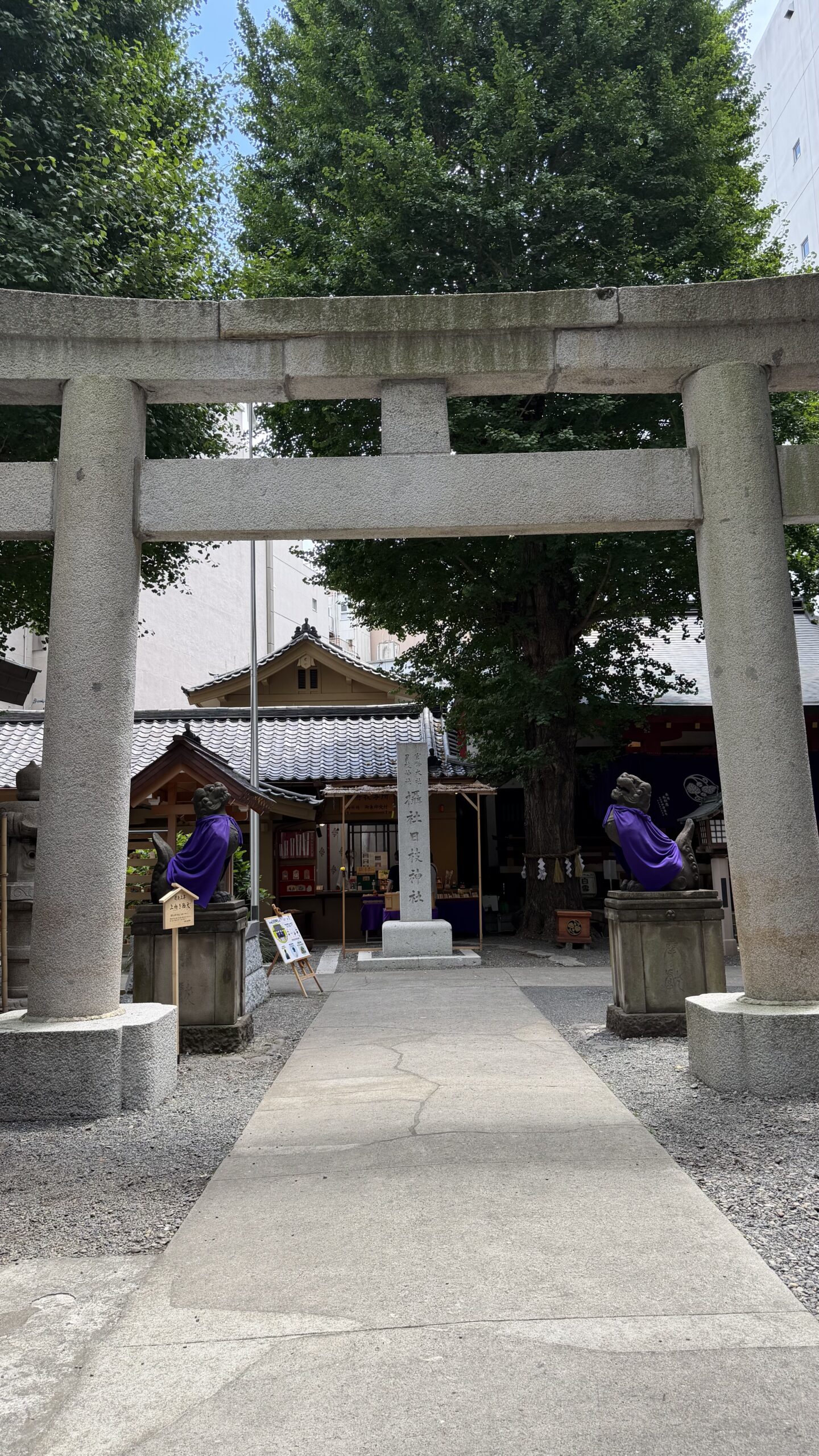 摂社日枝神社の境内