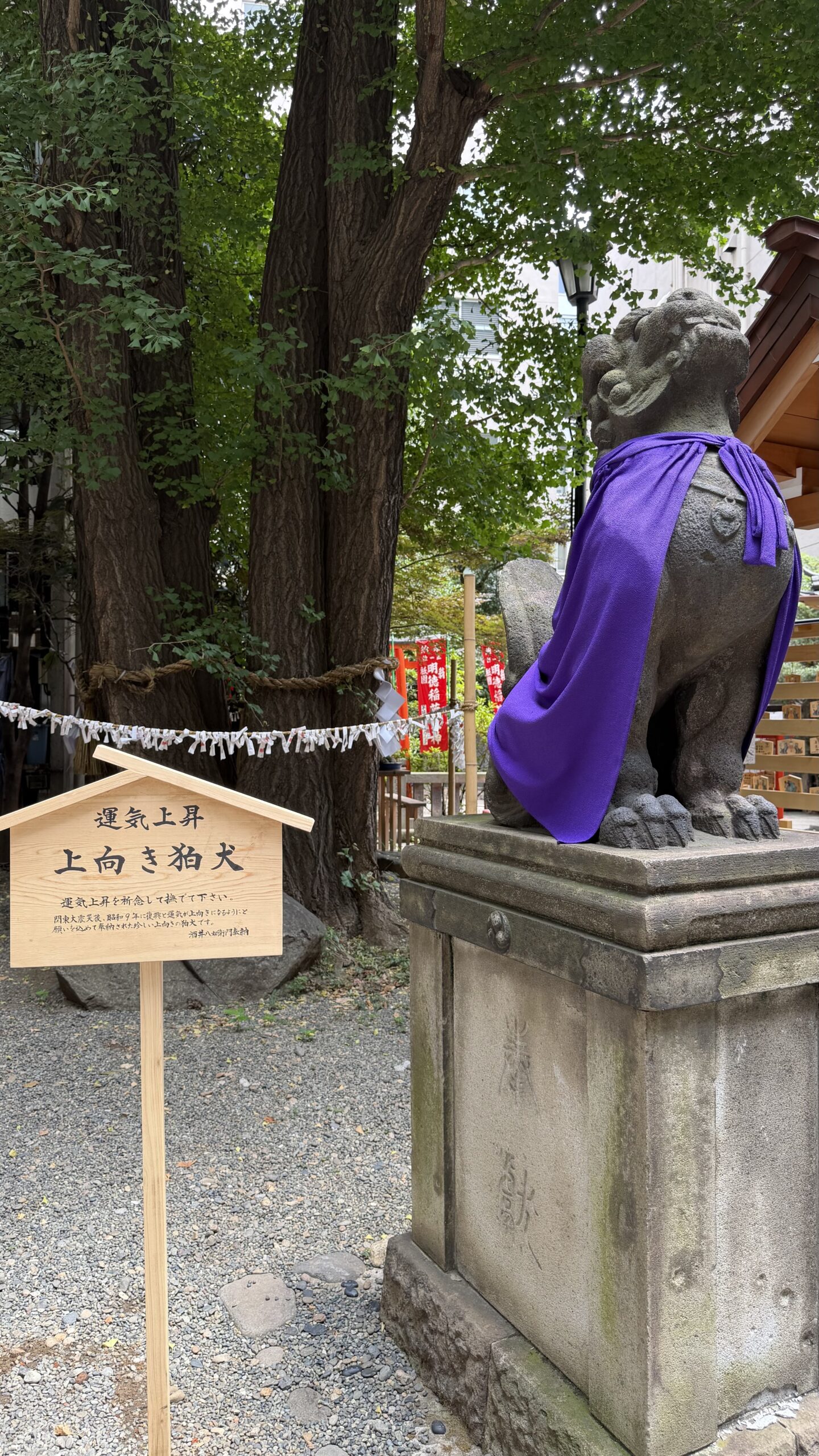 摂社日枝神社の上向き狛犬