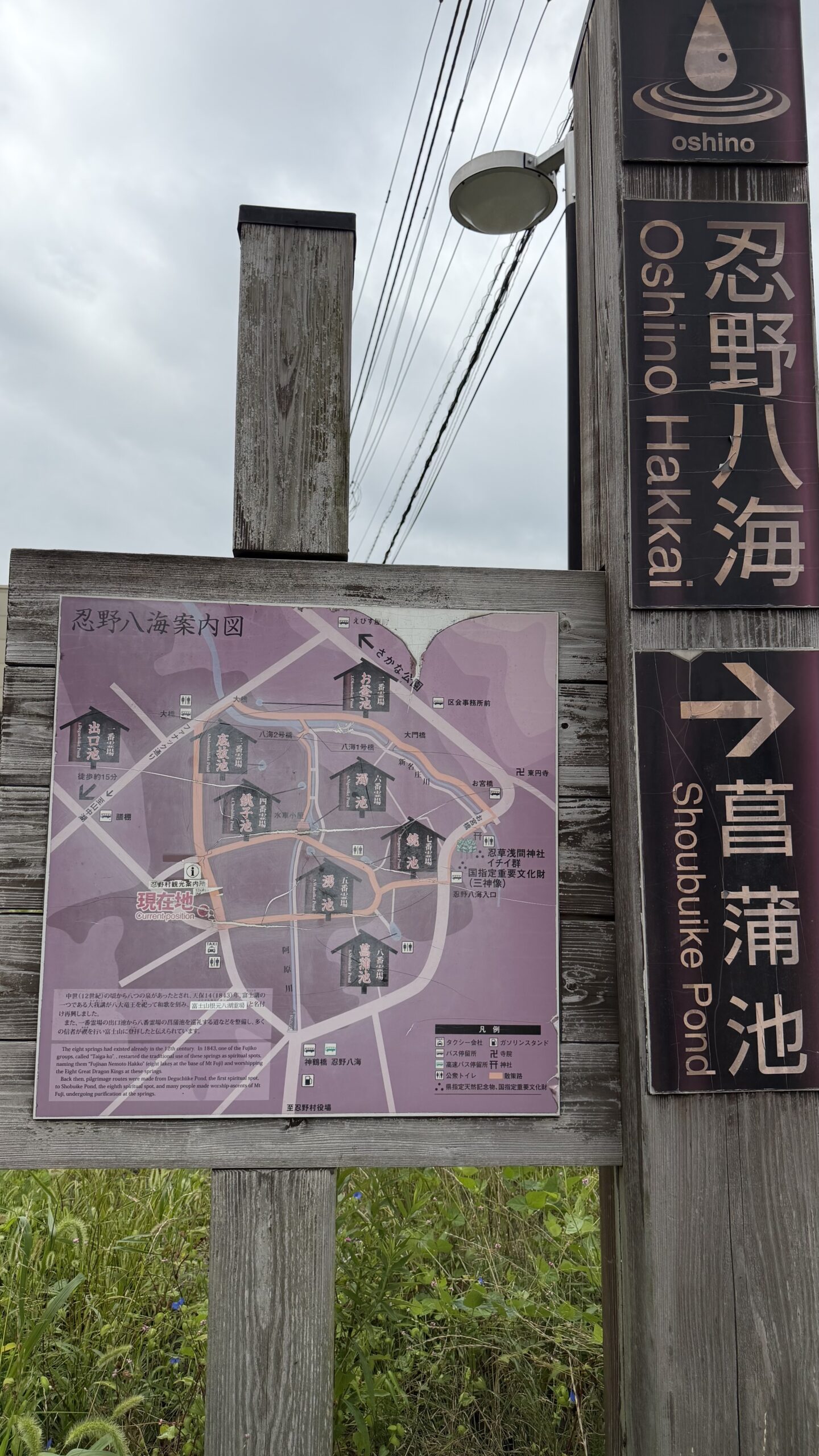 忍野八海の案内図