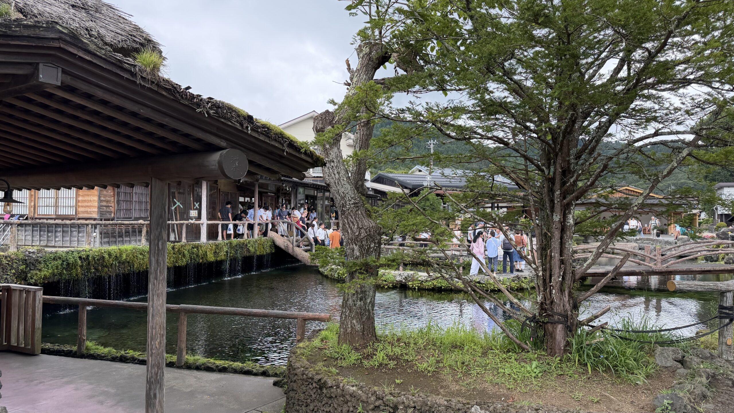 忍野八海の池と、池のまわりを歩く観光客