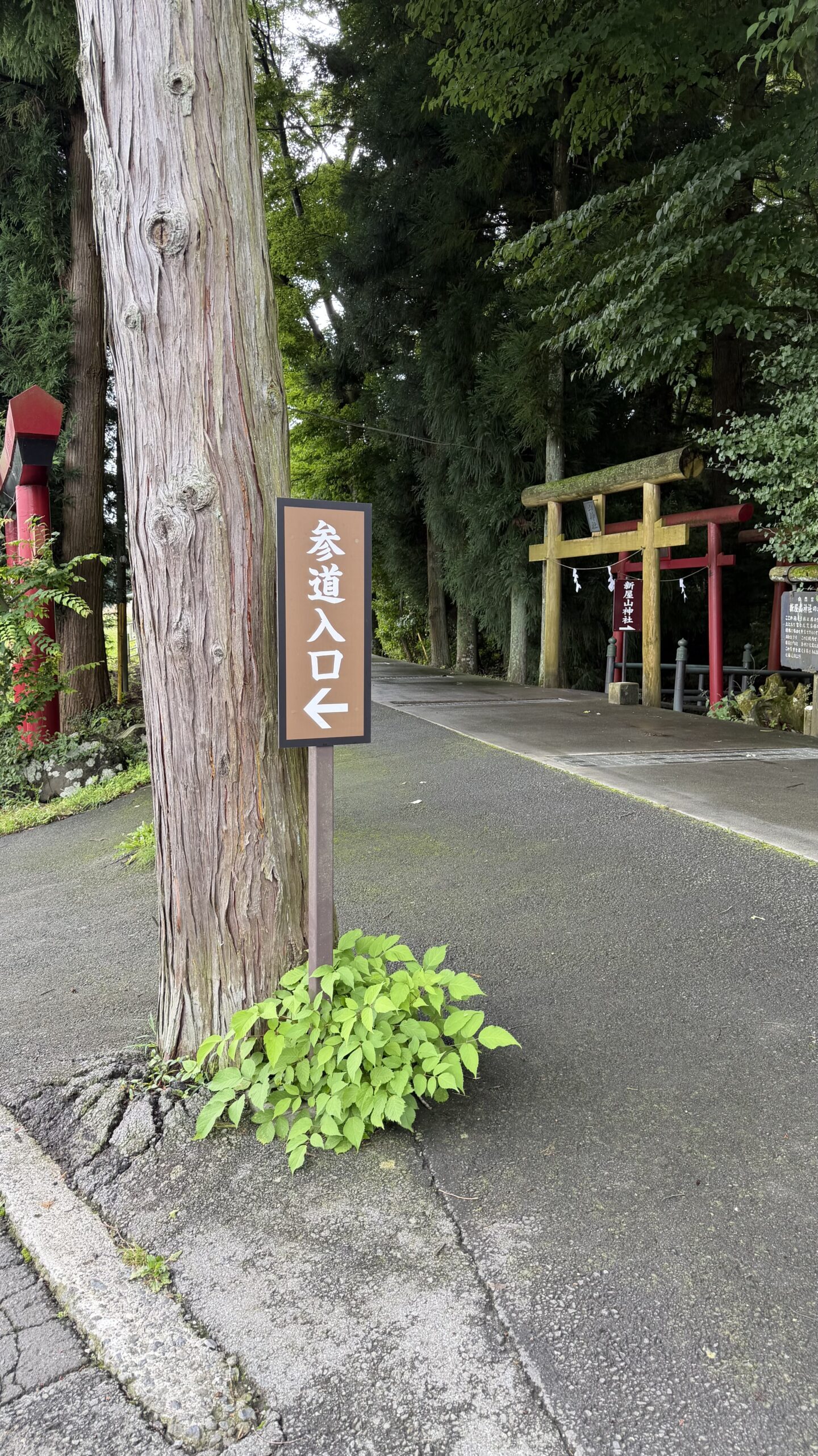 新屋山神社 本宮の参道入口と鳥居