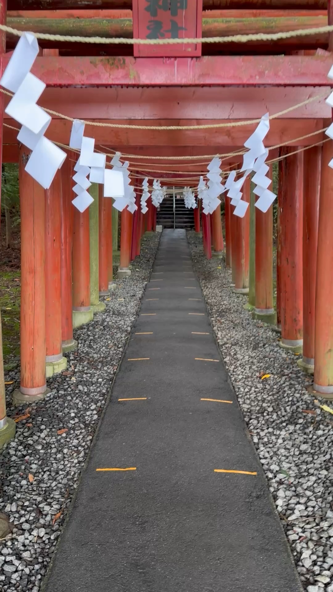 新屋山神社の赤い鳥居の参道と揺れる紙垂