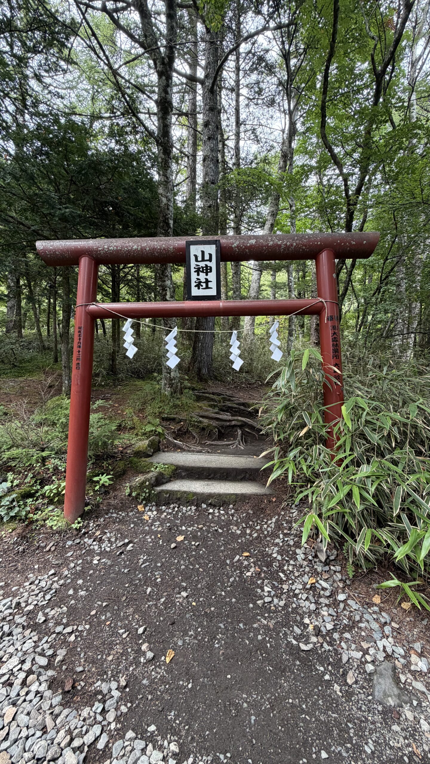 新屋山神社 奥宮の森の中に立つ鳥居